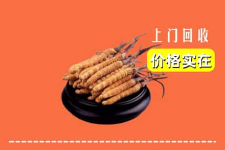 南康区回收冬虫夏草